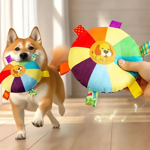 frisbee Interactif pour chien jeu Extérieur Résistant