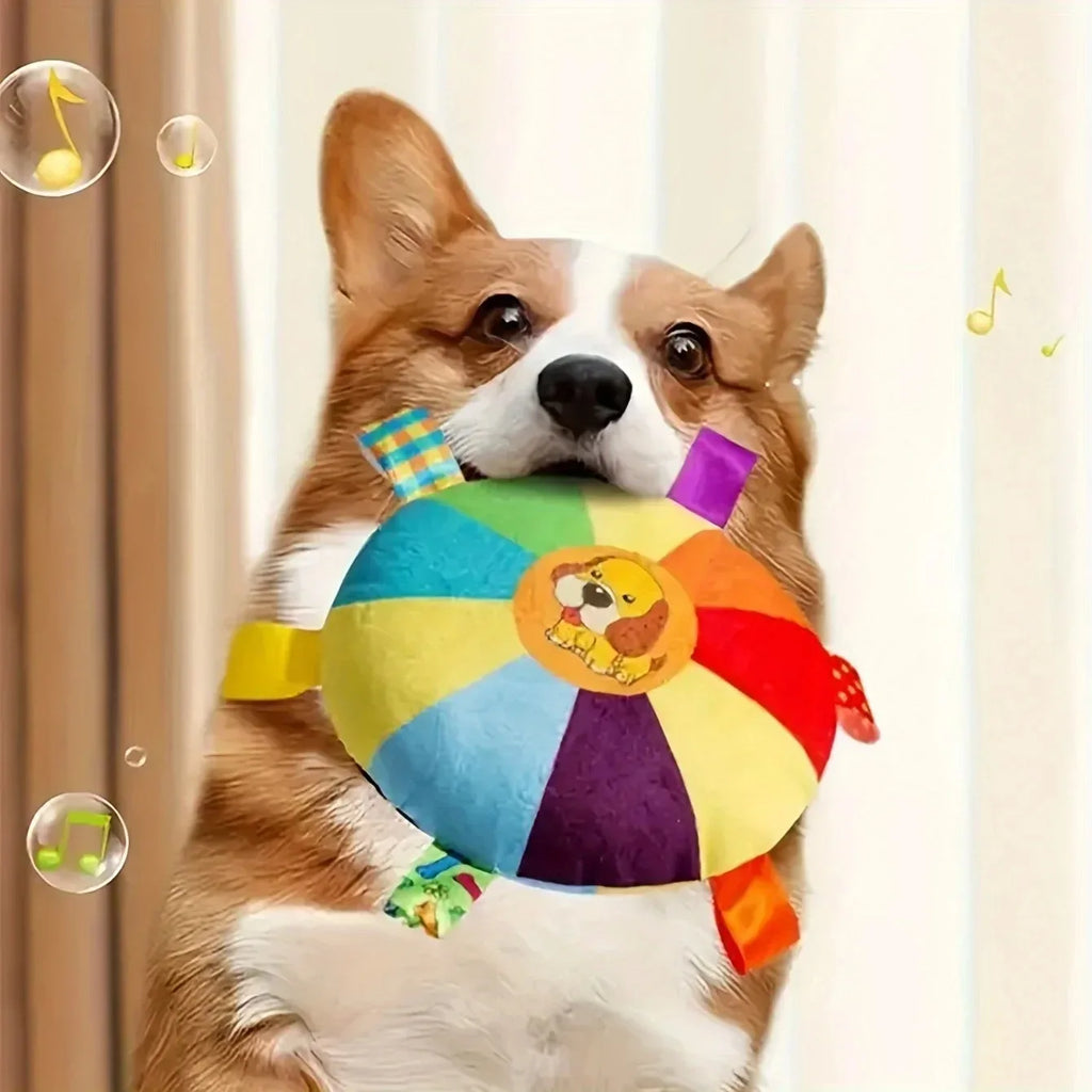 frisbee Interactif pour chien jeu Extérieur Résistant